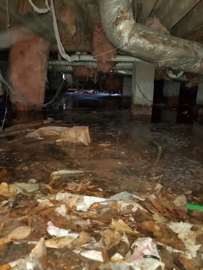 Crawl space flood assessment for Leak Detection & Repair in Orange Beach