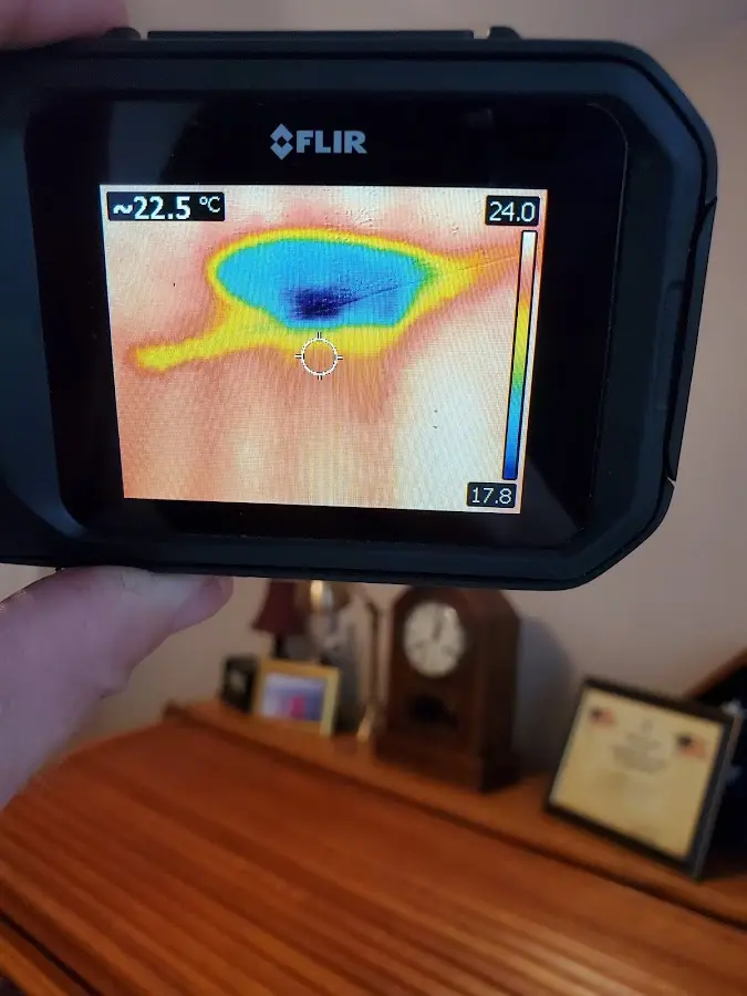 Thermal imaging inspection for water damage in Orange Beach