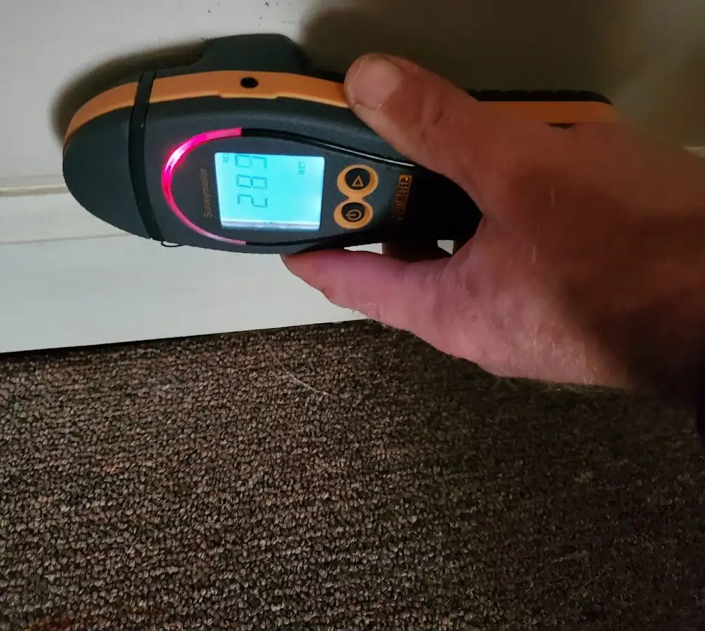 Moisture detection at baseboard during Sewage Cleanup & Sanitation in Orange Beach